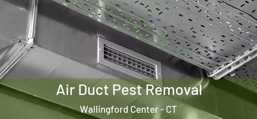  Air Duct Pest Removal Wallingford Center - CT