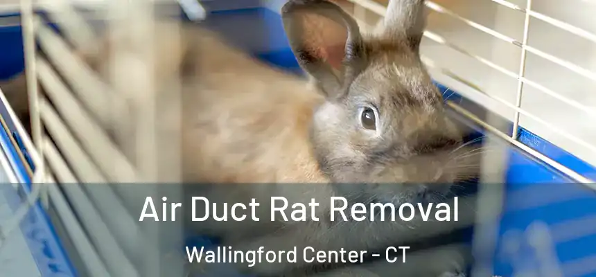  Air Duct Rat Removal Wallingford Center - CT