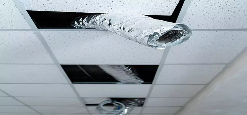 Affordable HVAC Sanitizing After Pest Removal in Wallingford Center