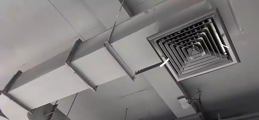 Restorative Allergy Relief Vent Cleaning – Coil, Blower & Housing Detail in Wallingford Center