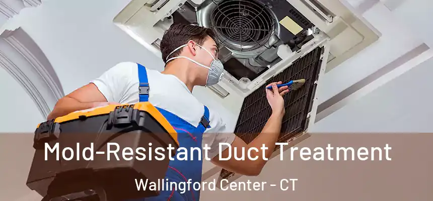  Mold-Resistant Duct Treatment Wallingford Center - CT