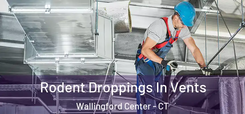  Rodent Droppings In Vents Wallingford Center - CT