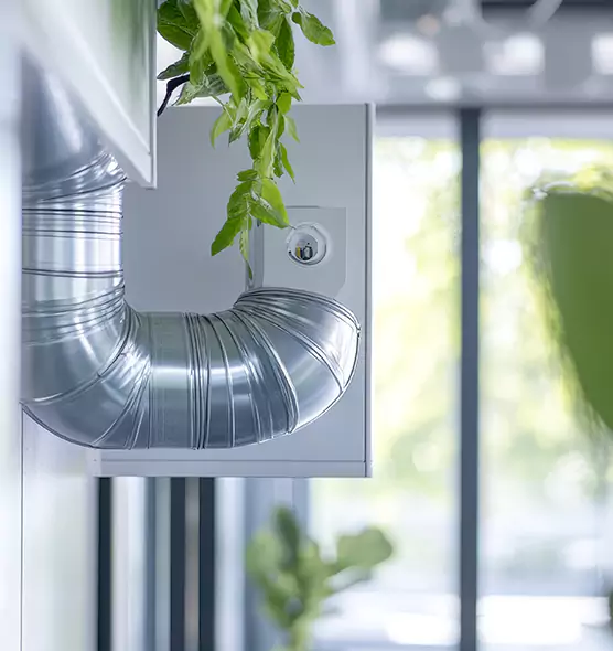 Professional Eco-Safe Dryer Vent Cleaning in Wallingford Center, CT