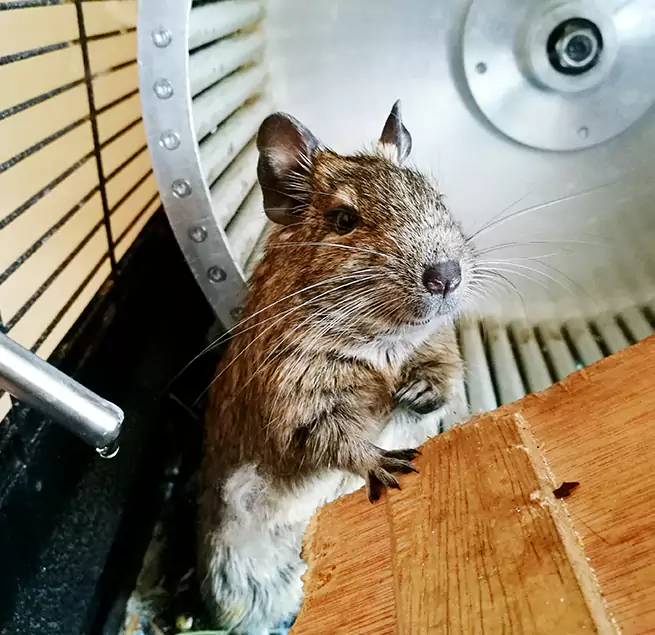 Why Homeowners & Businesses Trust Us Wallingford Center, CT