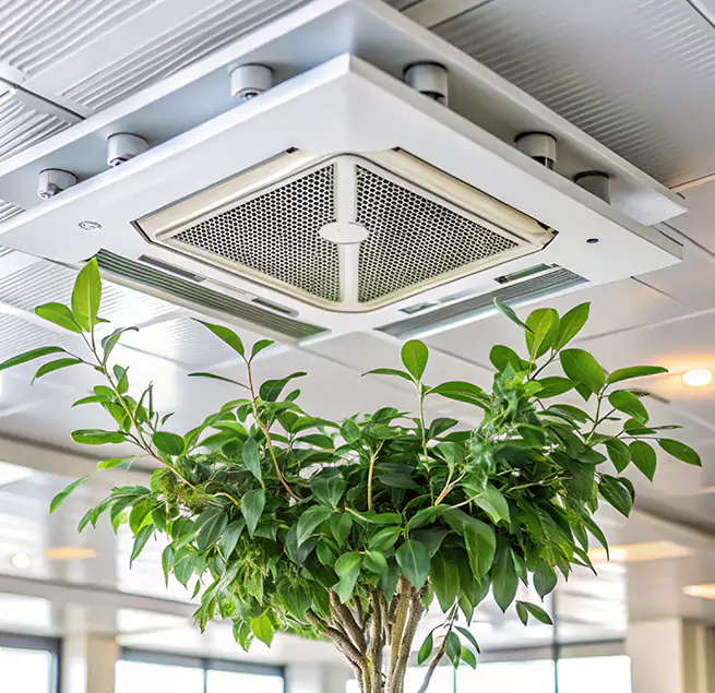 Why Homeowners & Businesses Trust Us in Wallingford Center, CT